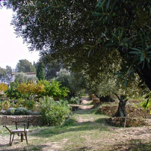 A two-month exchange in a private vineyard in the Var region, near Toulon